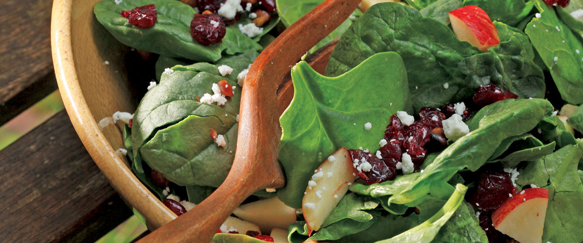 Spinach Salad with Cranberry Vinaigrette | The Rhode Ahead