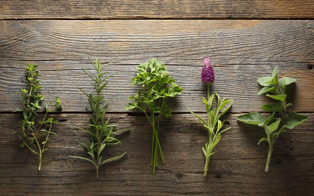 Cooking with Fresh Herbs