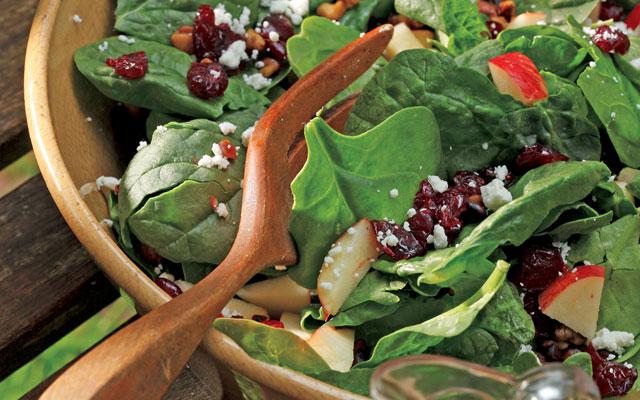 Spinach Salad with Cranberry Vinaigrette